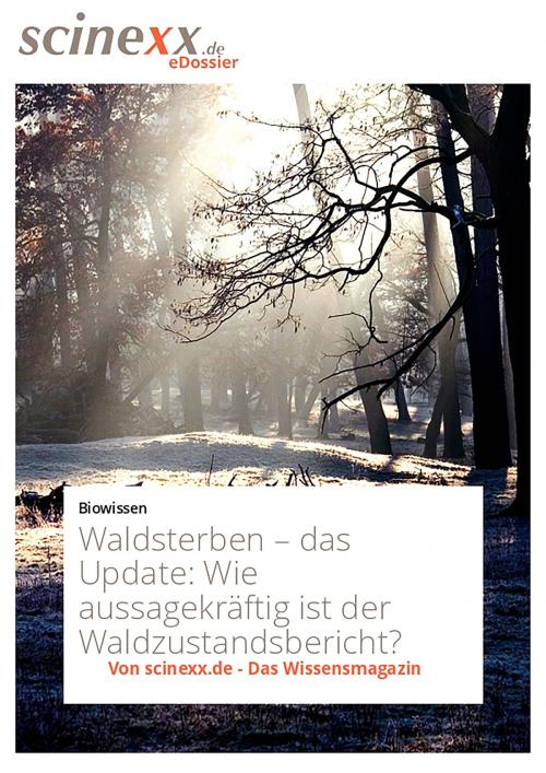 Cover of the book Waldsterben - das Update by Dieter Lohmann, YOUPublish