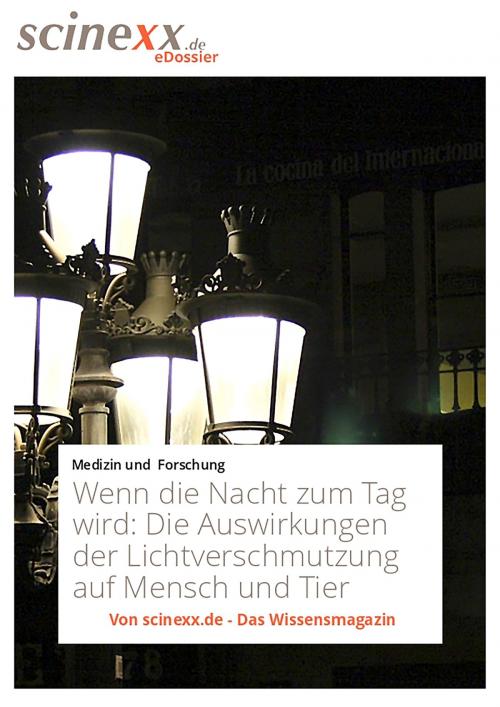 Cover of the book Wenn die Nacht zum Tag wird by Ansgar Kretschmer, YOUPublish