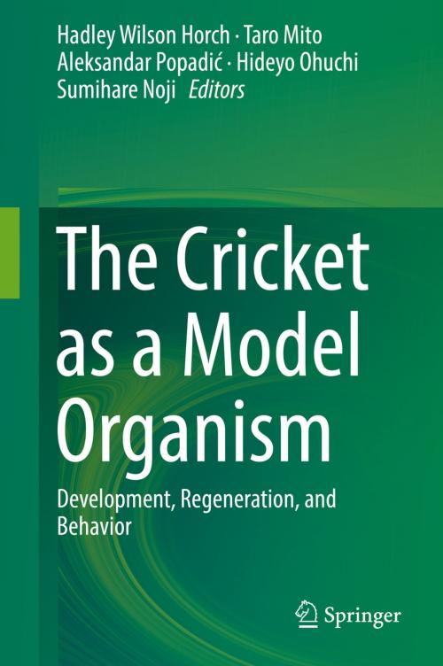 Cover of the book The Cricket as a Model Organism by , Springer Japan