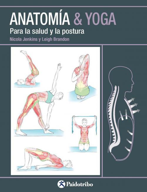 Cover of the book Anatomía & Yoga by Nicola Jenkin, Leigh Brandon, Paidotribo