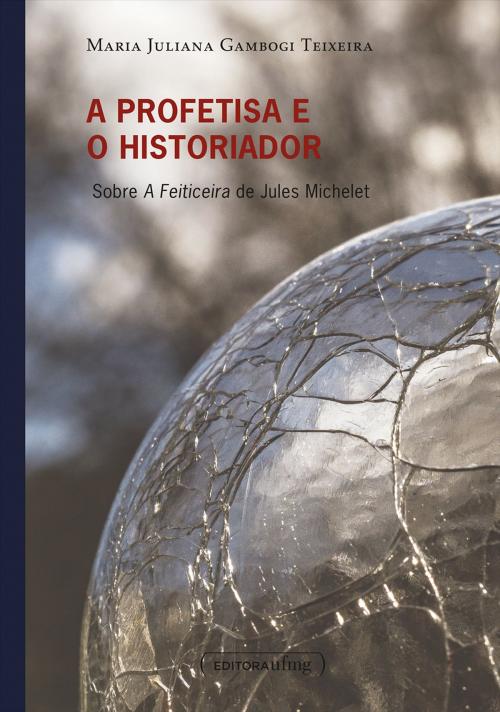 Cover of the book A profetisa e o historiador by Maria Juliana Gambogi Teixeira, Editora UFMG