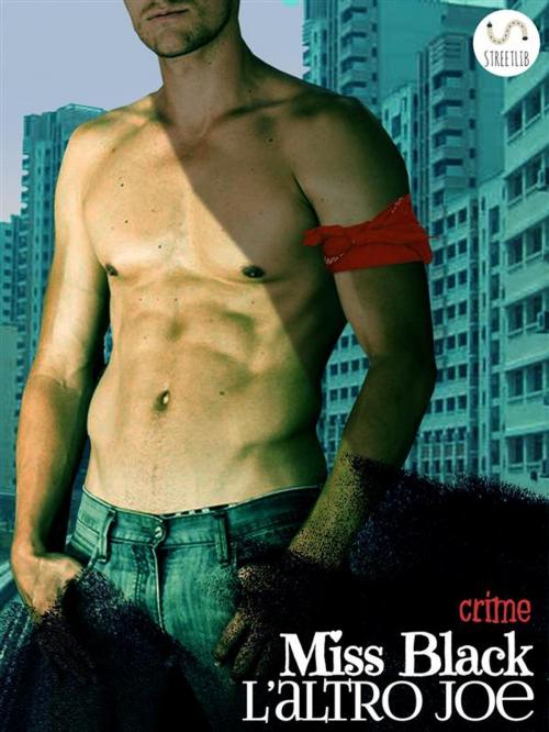 Cover of the book L'altro Joe by Miss Black, Miss Black