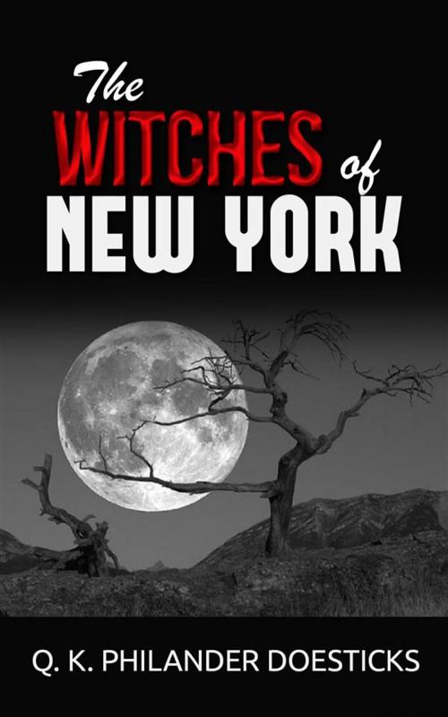 Cover of the book The Witches of New York by Q. K. Philander Doesticks, Q. K. Philander Doesticks