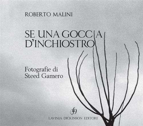 Cover of the book Se una goccia d'inchiostro by Roberto Malini, Libellula Edizioni