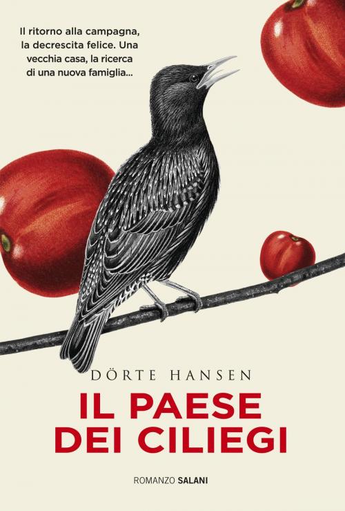 Cover of the book Il paese dei ciliegi by Dörte Hansen, Salani Editore