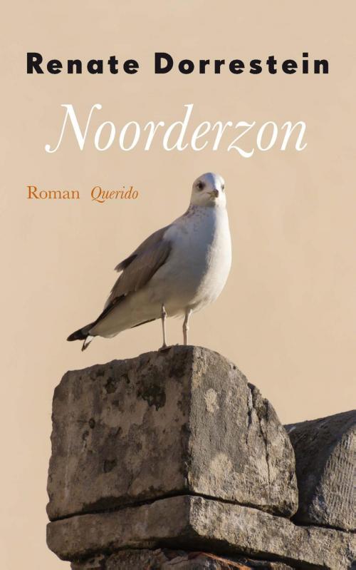 Cover of the book Noorderzon by Renate Dorrestein, Singel Uitgeverijen