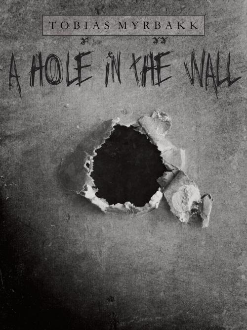 Cover of the book A hole in the wall by Tobias Myrbakk, Books on Demand