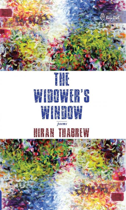 Cover of the book The Widower's Window by Hiran Thabrew, We Green Solutions