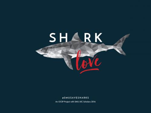 Cover of the book Shark Love by Kathy Xu, Naomi Clark, Tusitala (RLS) Pte Ltd