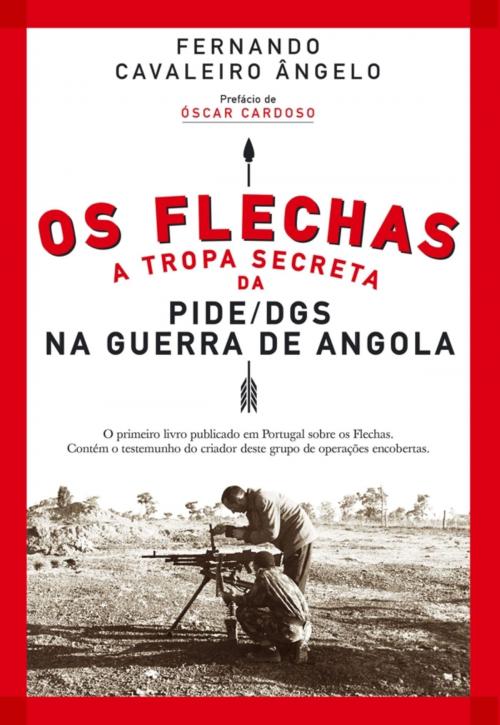 Cover of the book Os Flechas: A Tropa Secreta da PIDE/DGS na Guerra de Angola (1967-1974) by Fernando Cavaleiro Ângelo, CASA DAS LETRAS