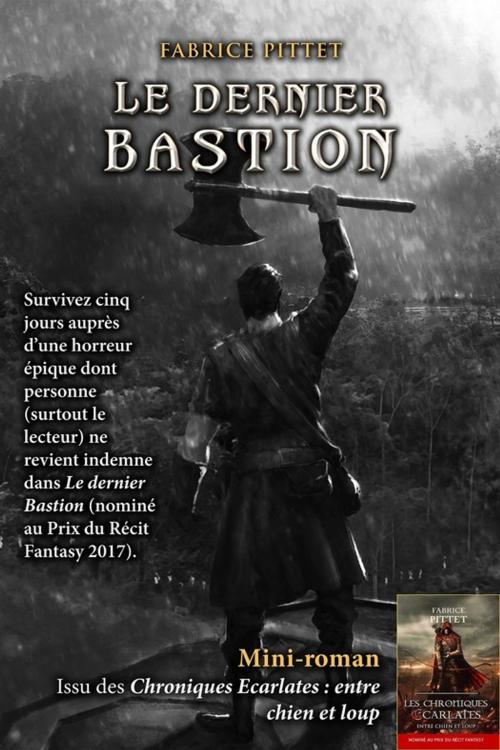 Cover of the book Le dernier Bastion by Fabrice Pittet, Fantasy.éditions.rcl
