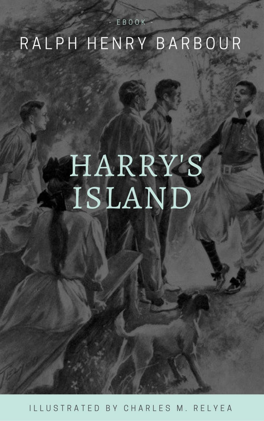 Big bigCover of Harry's Island (Illustrated)
