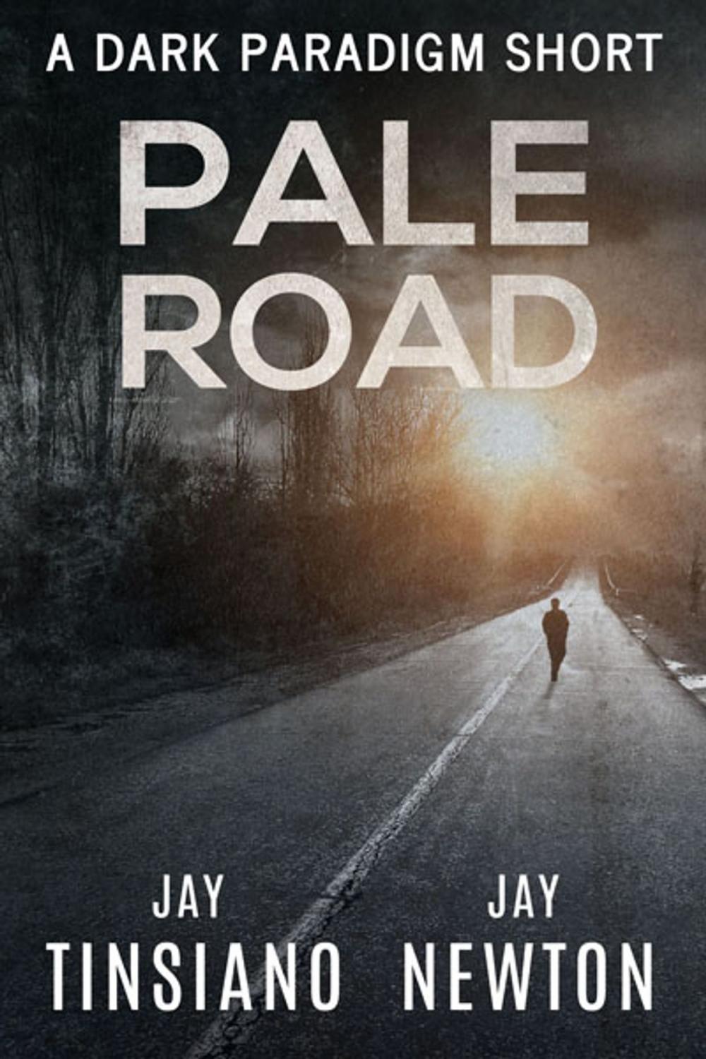 Big bigCover of Pale Road
