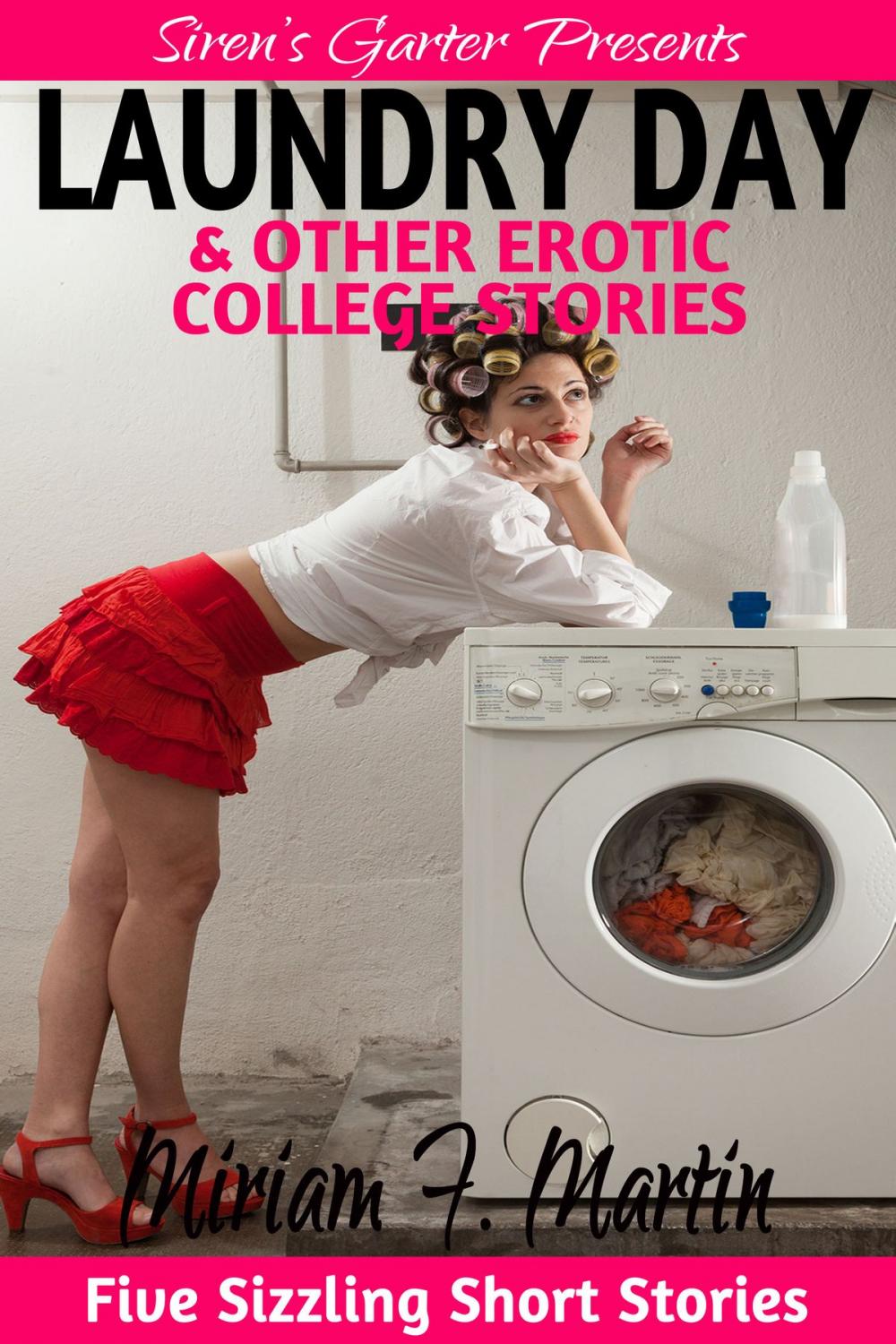 Big bigCover of Laundry Day & Other Erotic College Stories