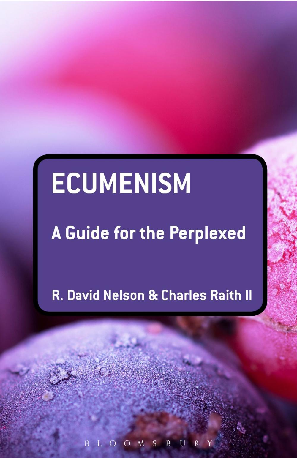 Big bigCover of Ecumenism: A Guide for the Perplexed