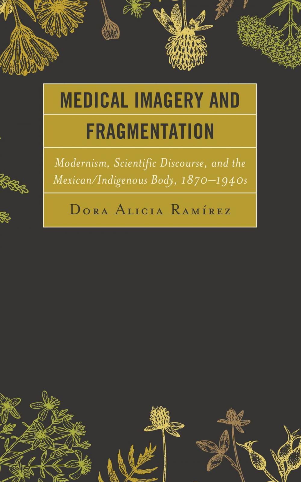 Big bigCover of Medical Imagery and Fragmentation
