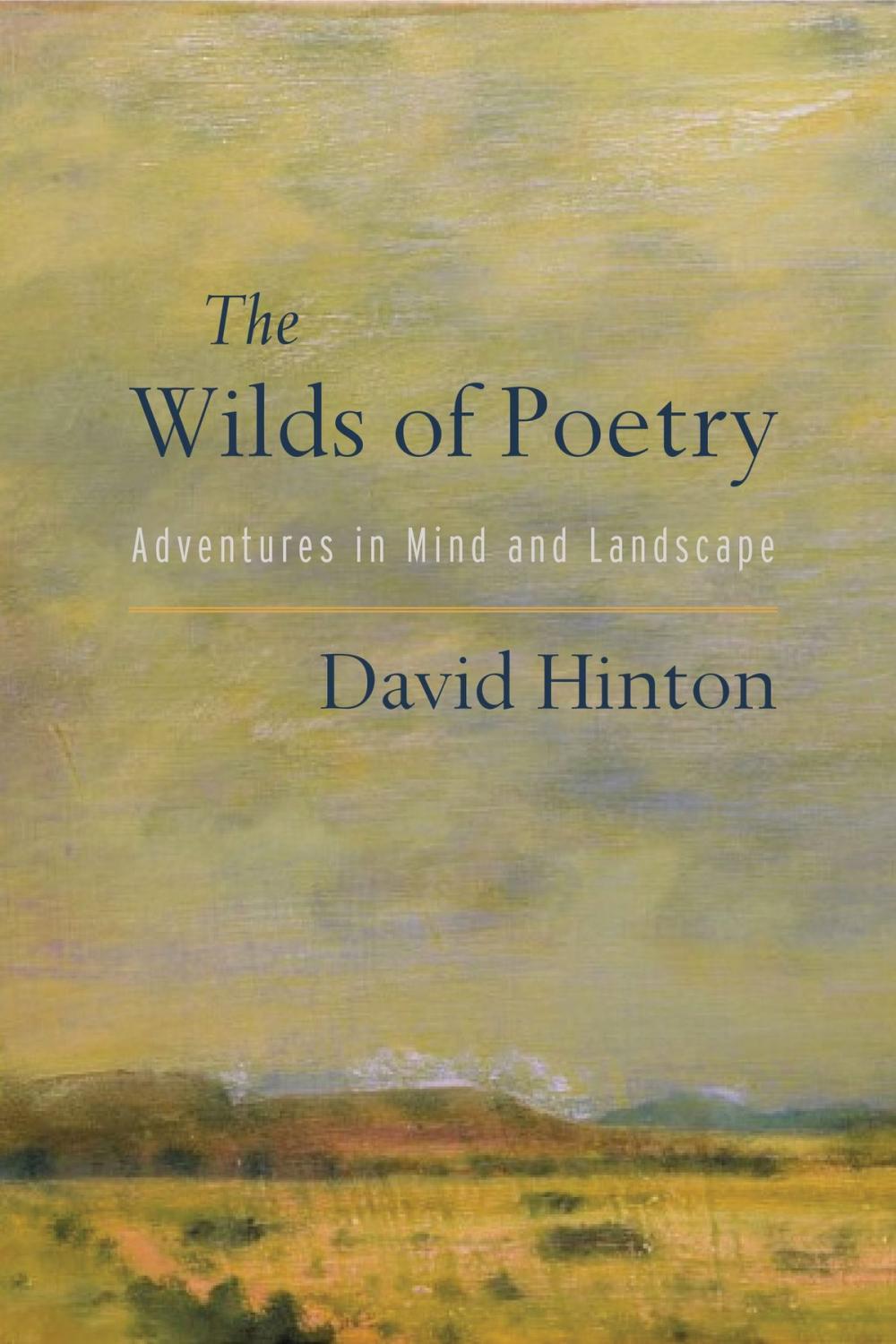 Big bigCover of The Wilds of Poetry