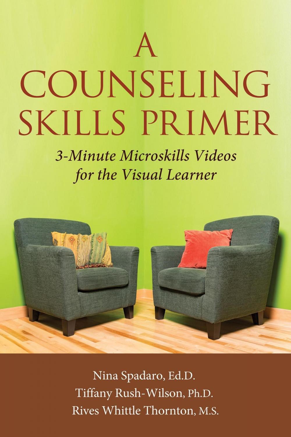 Big bigCover of A Counseling Skills Primer