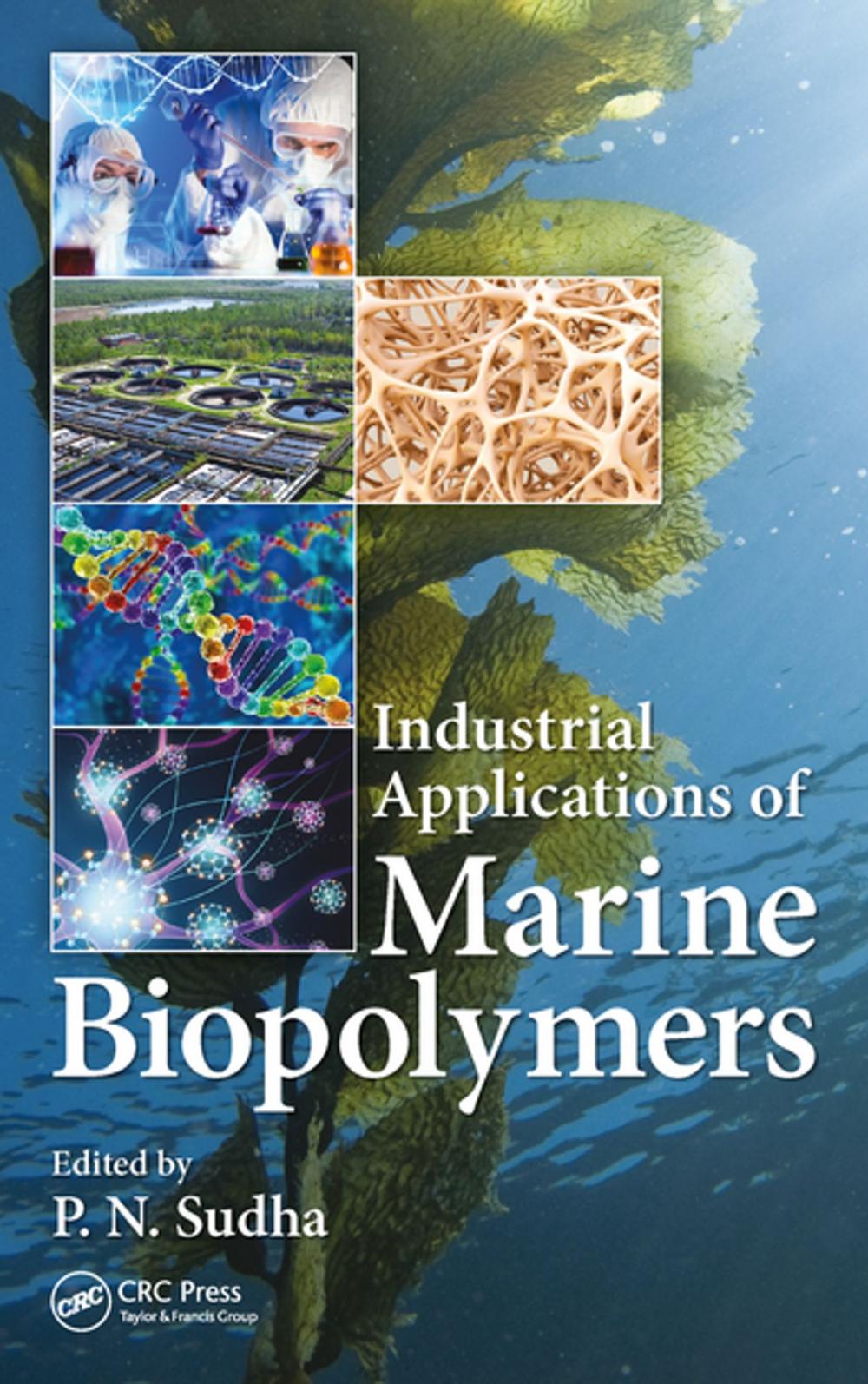 Big bigCover of Industrial Applications of Marine Biopolymers