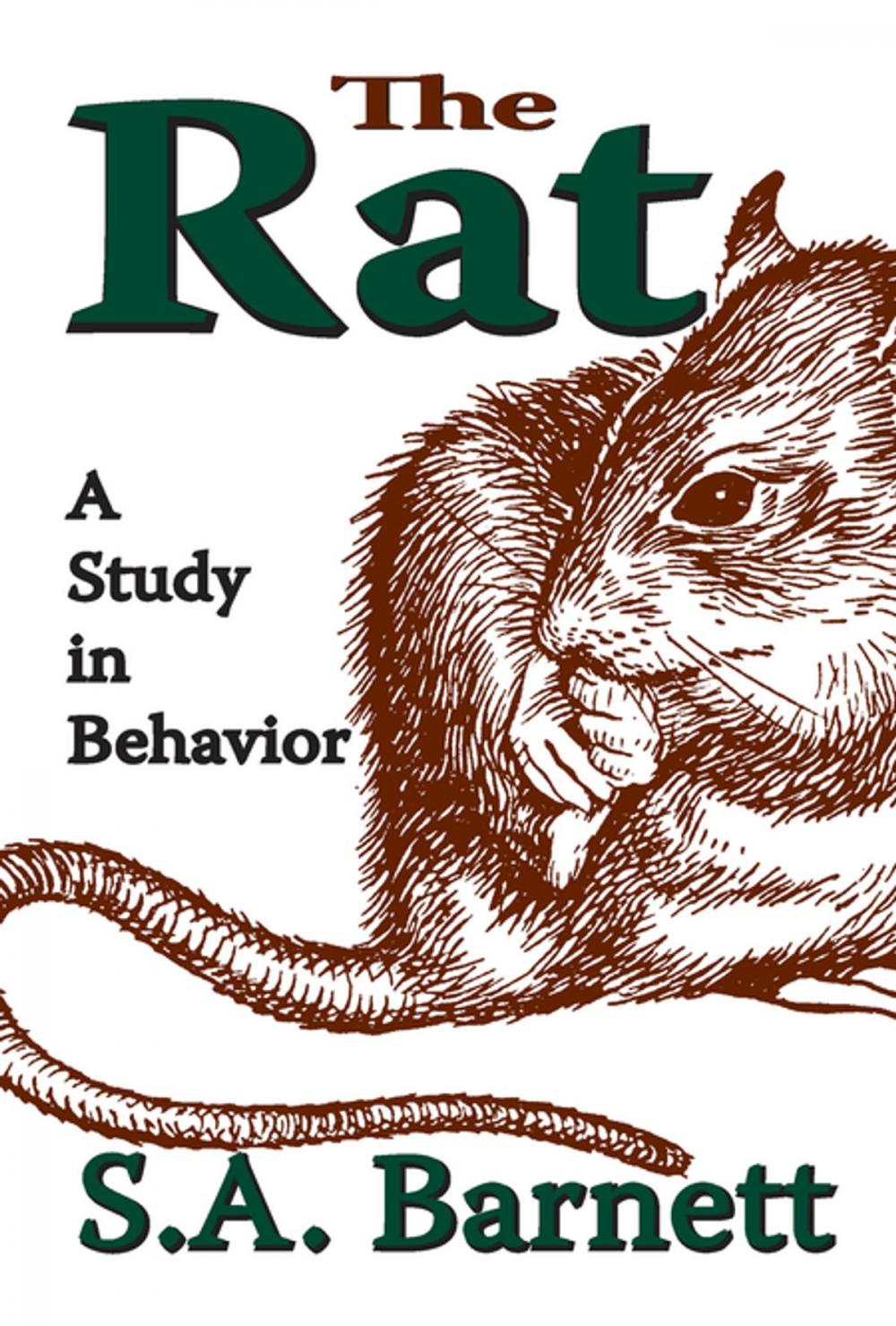 Big bigCover of The Rat