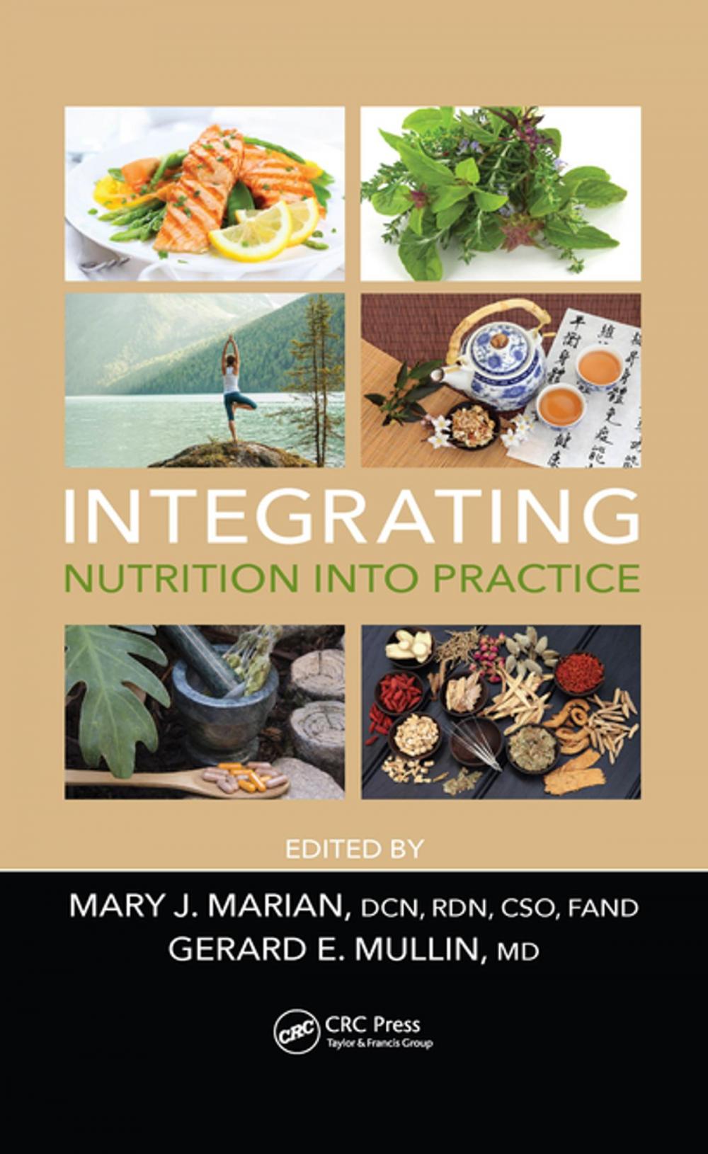 Big bigCover of Integrating Nutrition into Practice