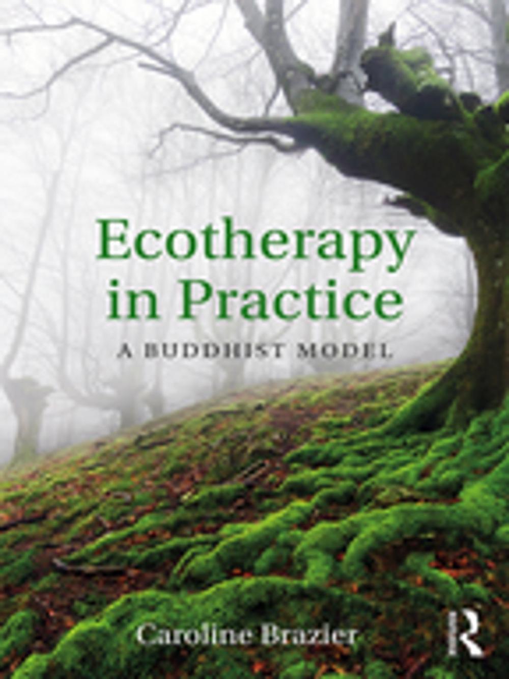 Big bigCover of Ecotherapy in Practice