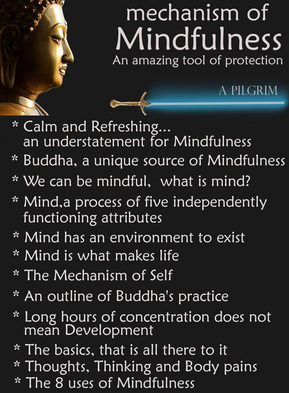 Big bigCover of Mechanism of Mindfulness