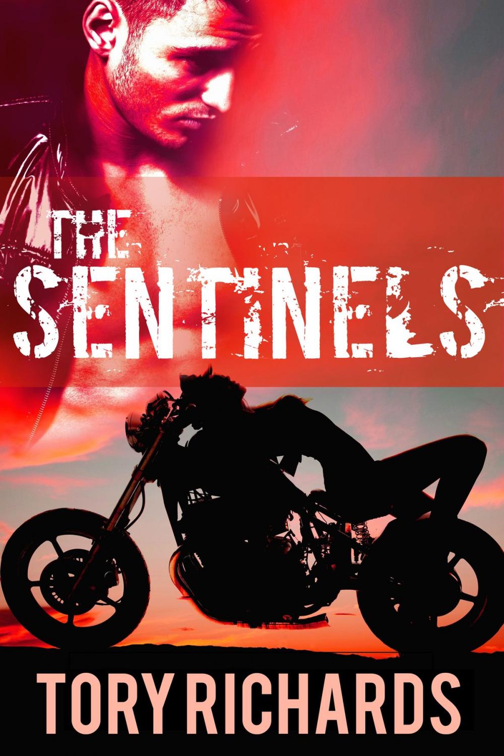 Big bigCover of The Sentinels