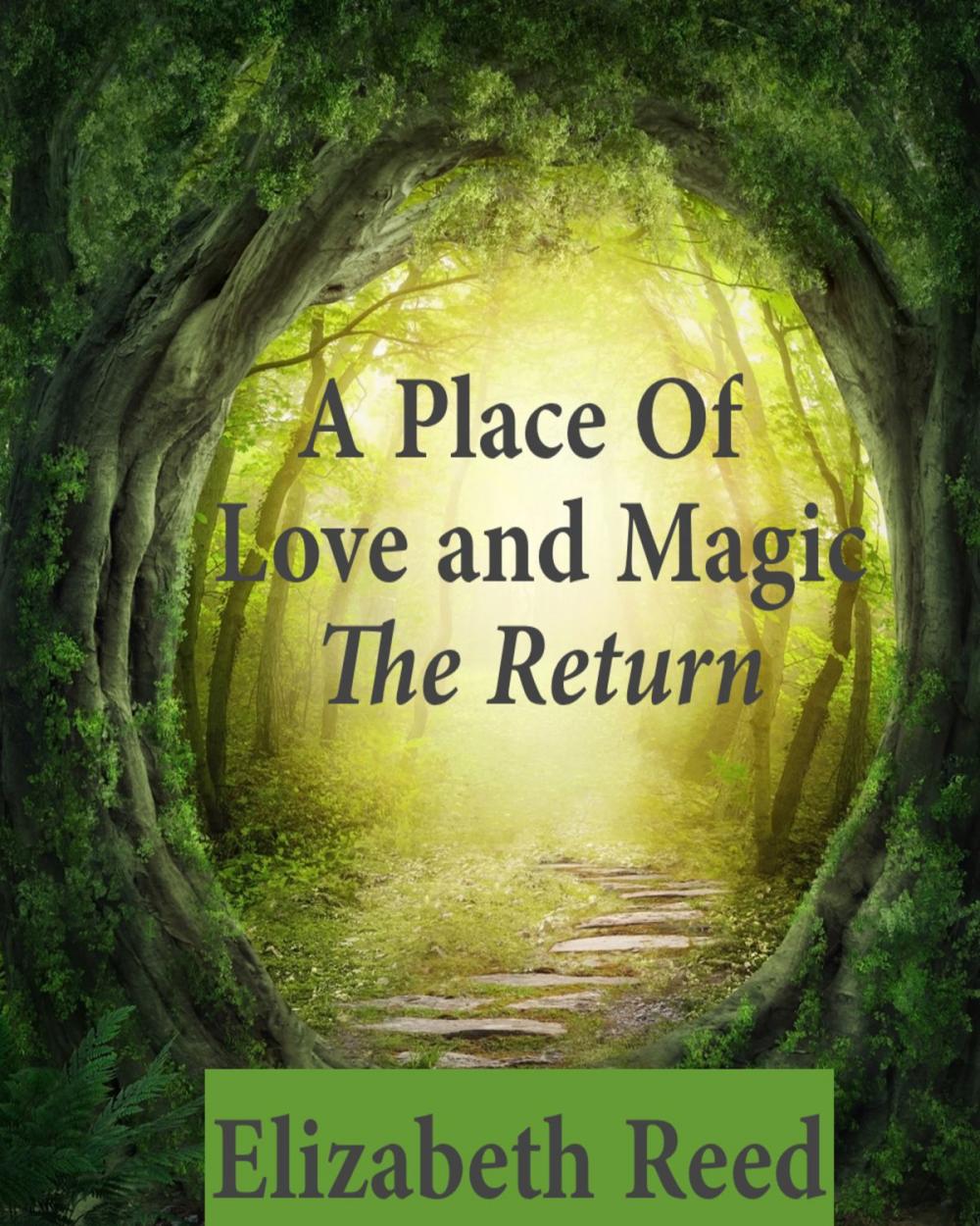Big bigCover of A Place Of Love And Magic The Return