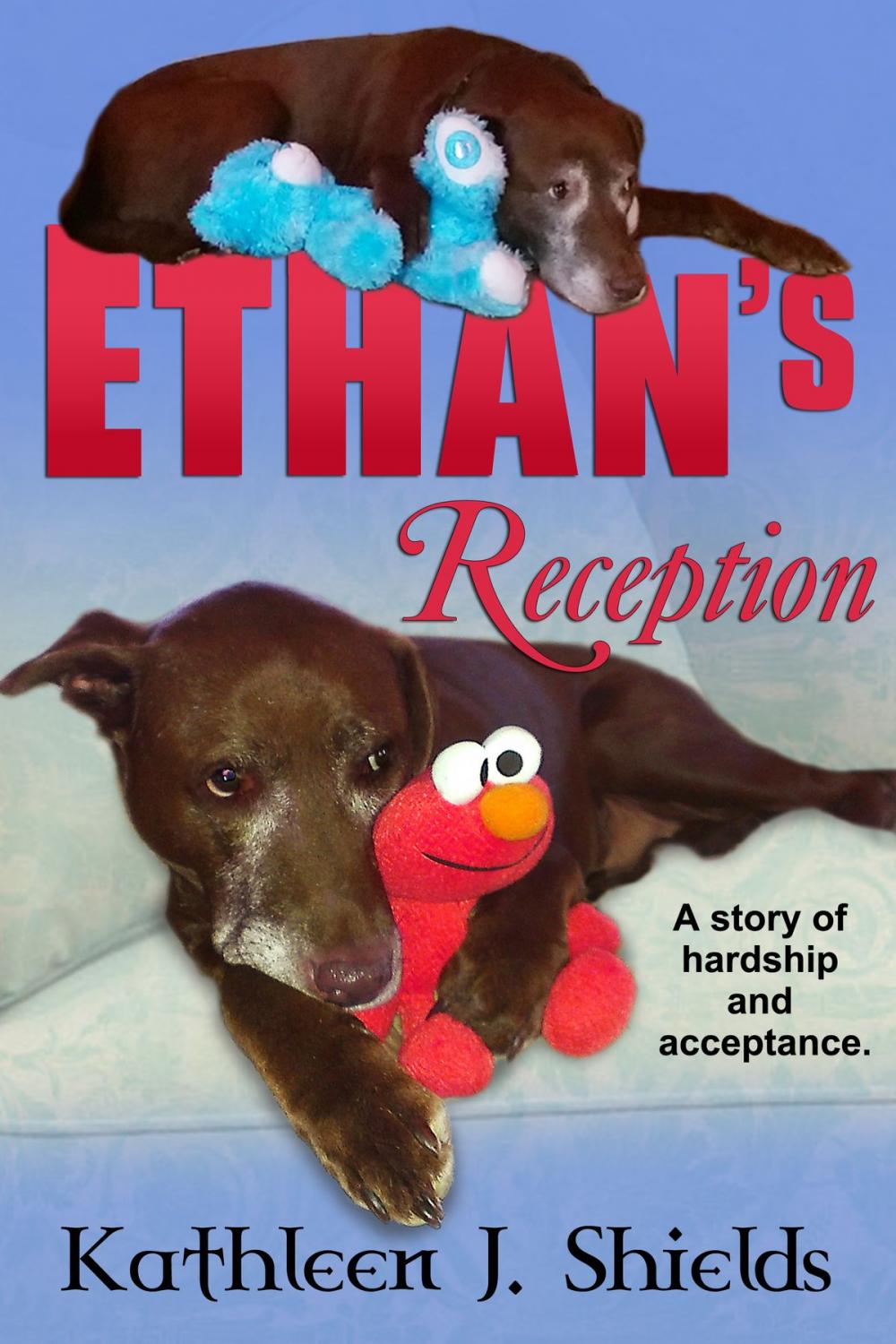 Big bigCover of Ethan's Reception, a Story of Hardship and Acceptance