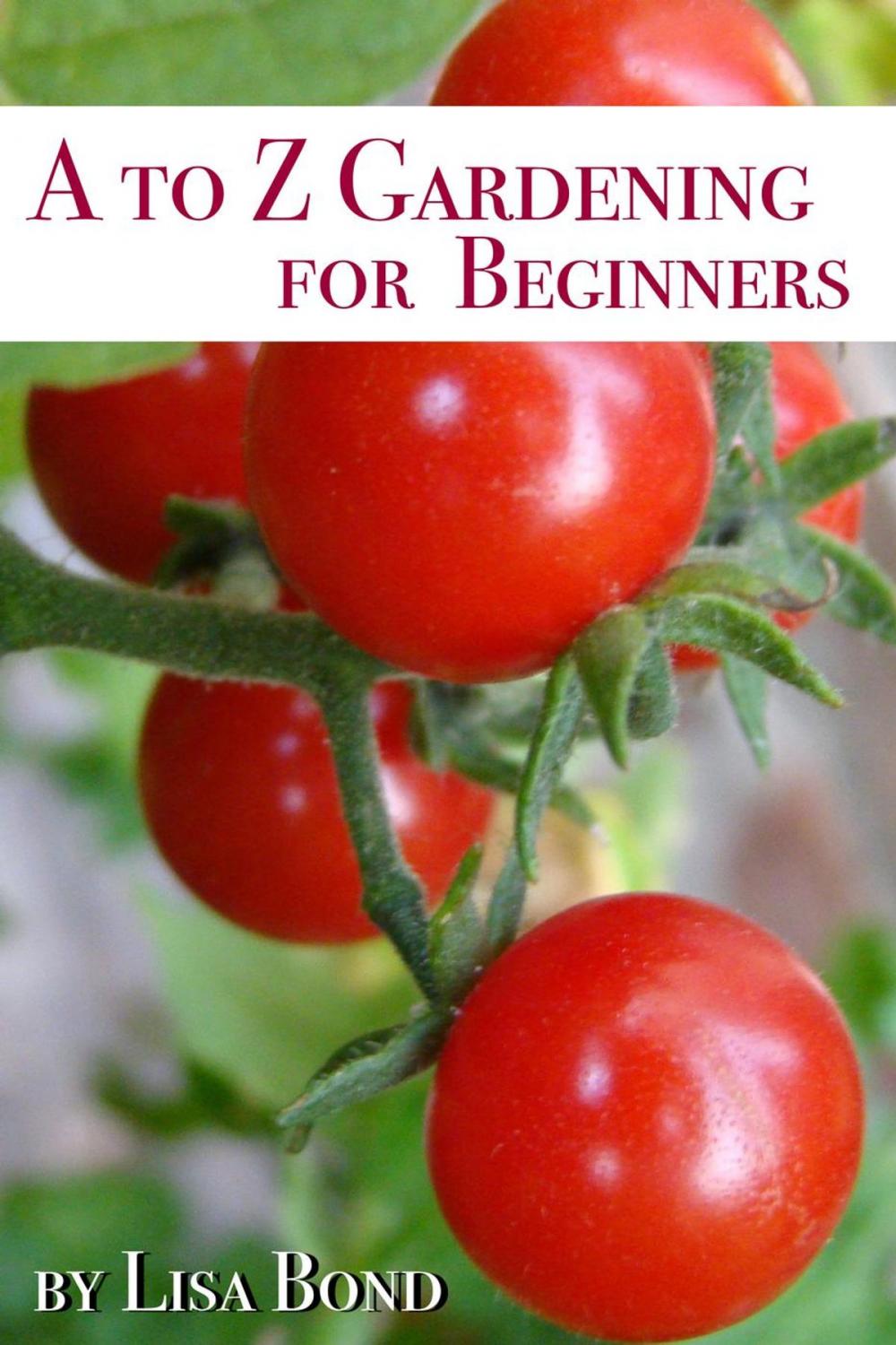 Big bigCover of A to Z Gardening for Beginners