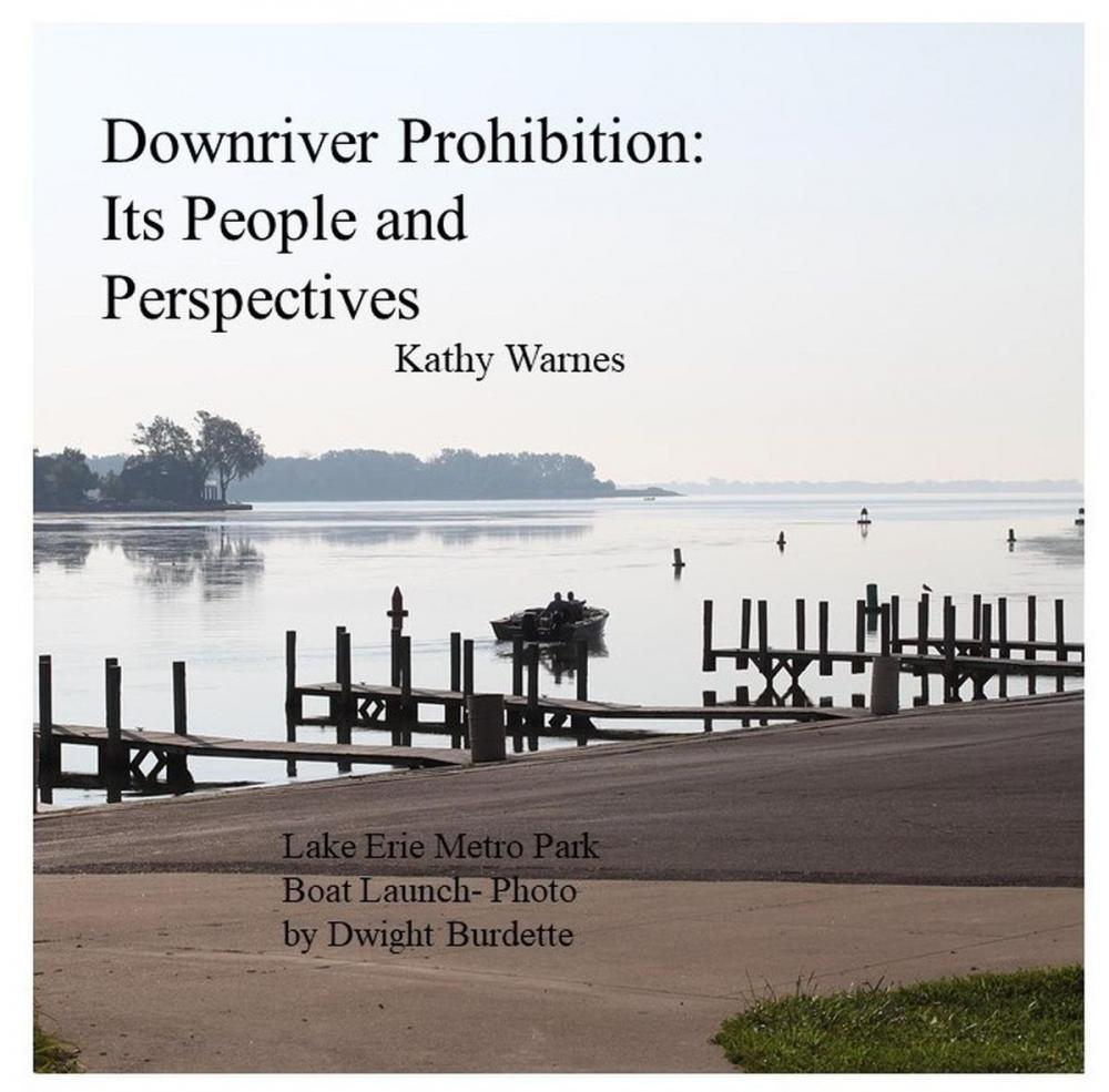 Big bigCover of Downriver Prohibition: Its People and Perspectives