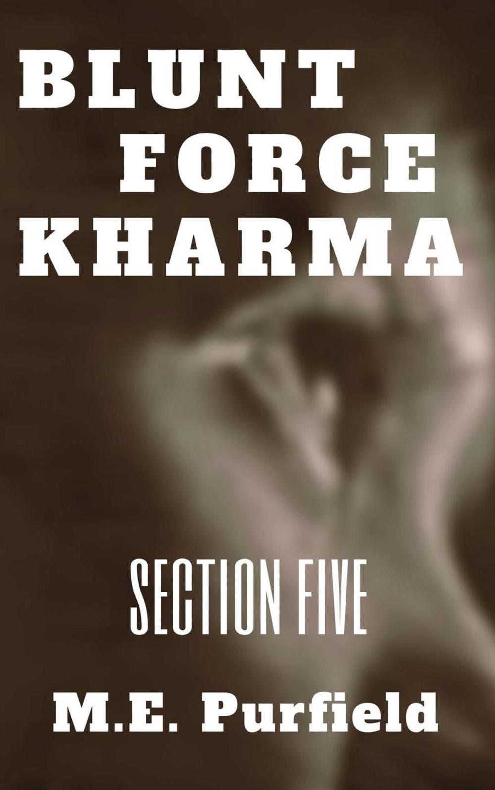 Big bigCover of Blunt Force Kharma: Section 5
