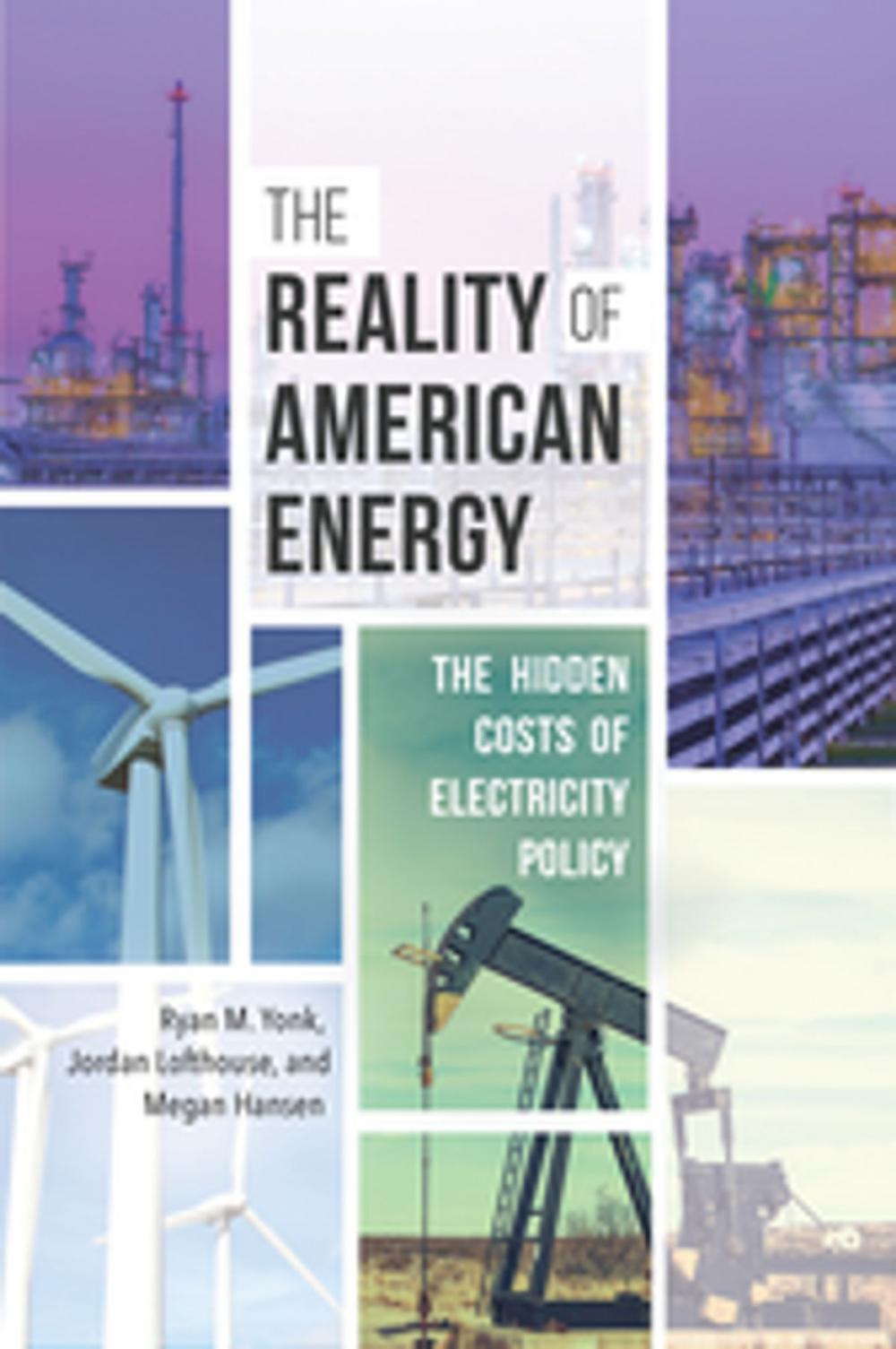 Big bigCover of The Reality of American Energy: The Hidden Costs of Electricity Policy