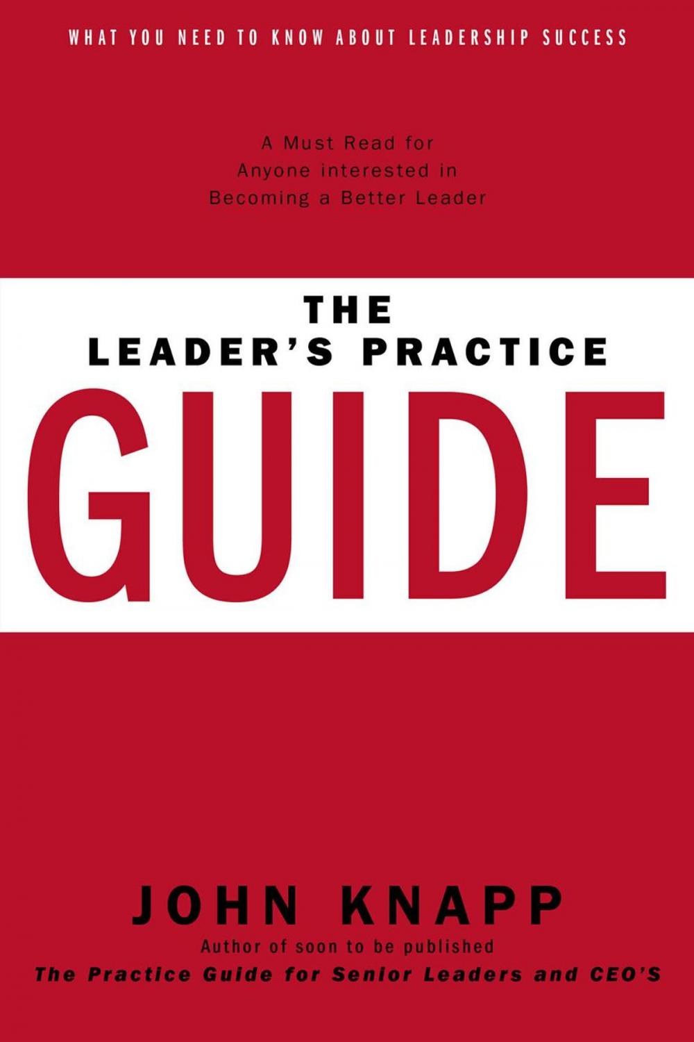 Big bigCover of The Leader's Practice Guide