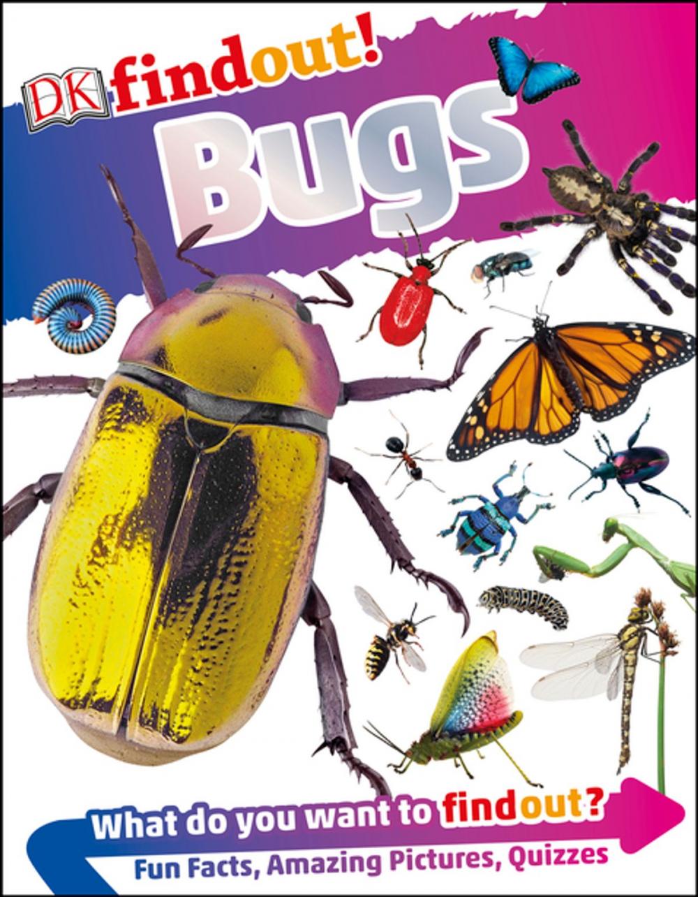 Big bigCover of DKfindout! Bugs