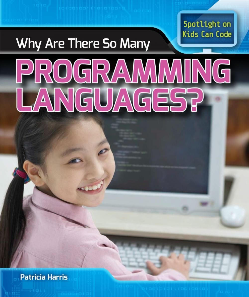 Big bigCover of Why Are There So Many Programming Languages?
