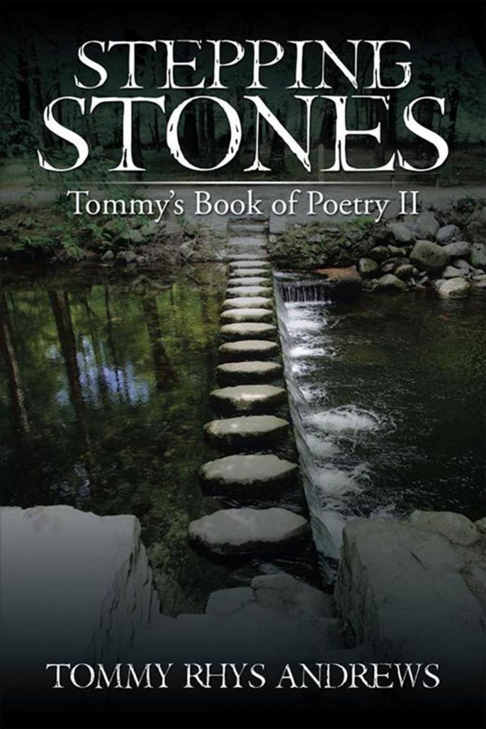 Big bigCover of Stepping Stones