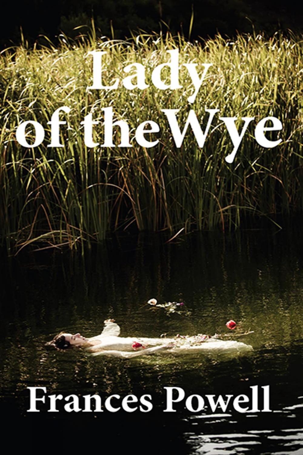 Big bigCover of Lady of the Wye