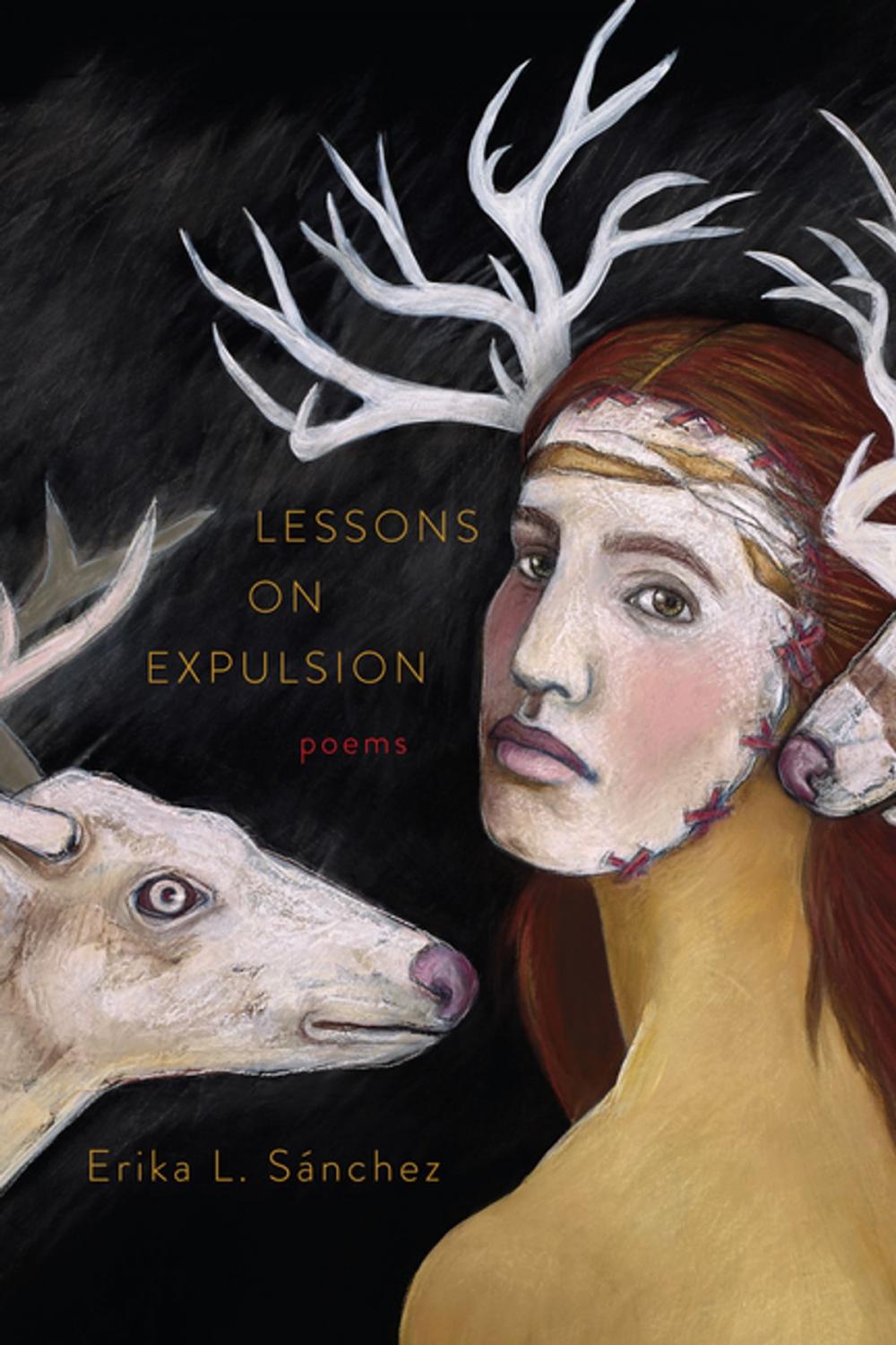 Big bigCover of Lessons on Expulsion