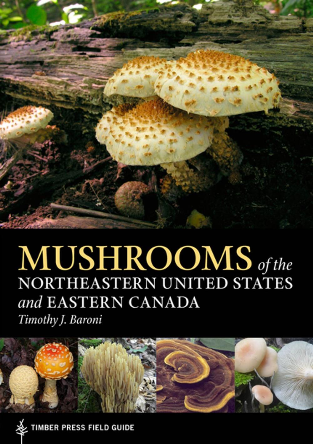 Big bigCover of Mushrooms of the Northeastern United States and Eastern Canada