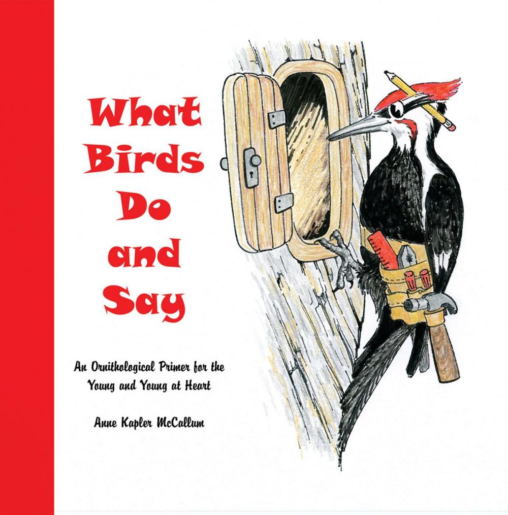 Big bigCover of What Birds Do and Say