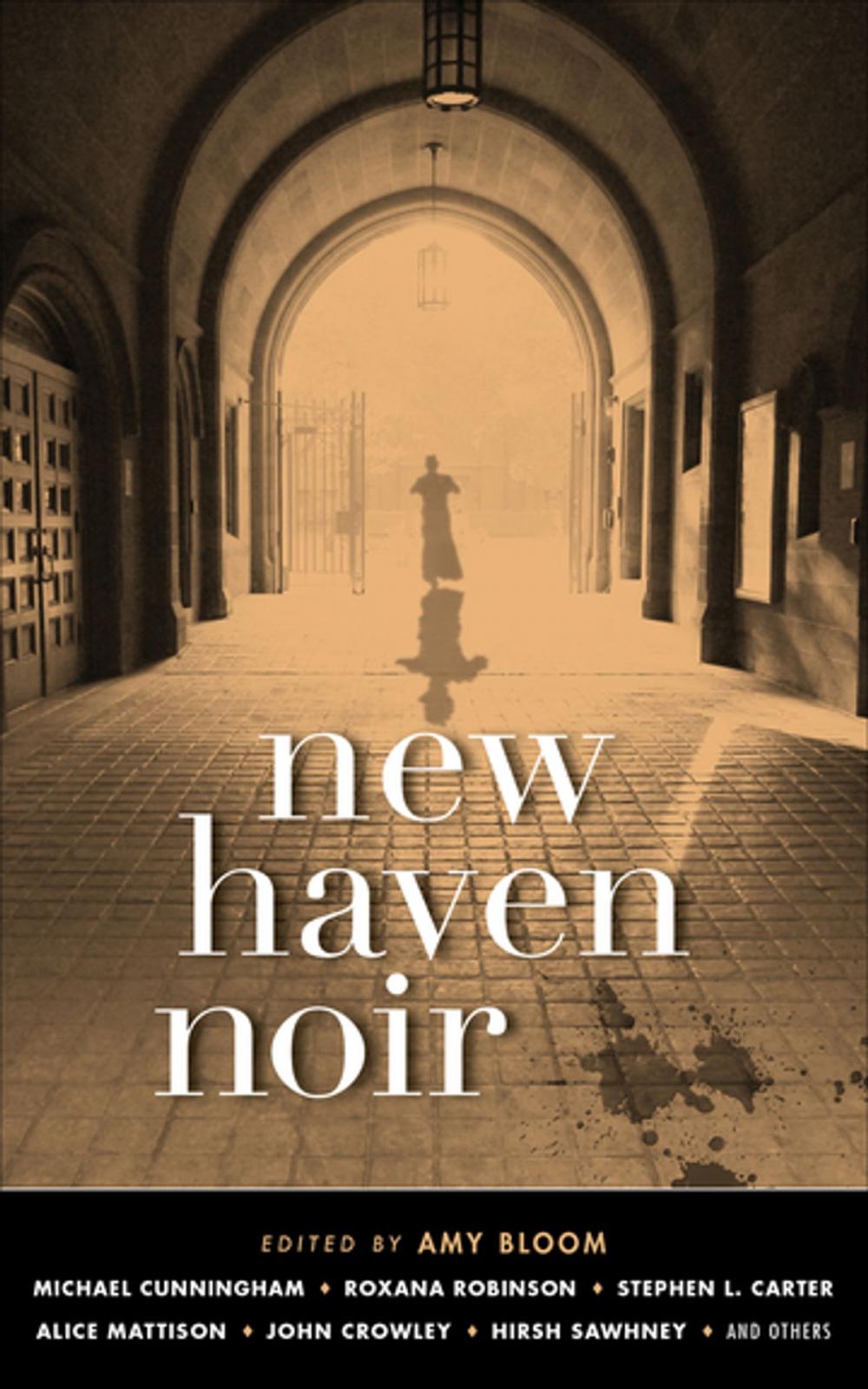 Big bigCover of New Haven Noir