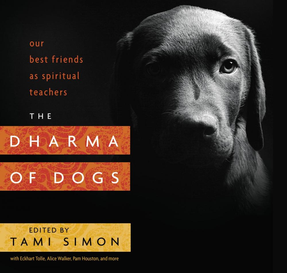 Big bigCover of The Dharma of Dogs