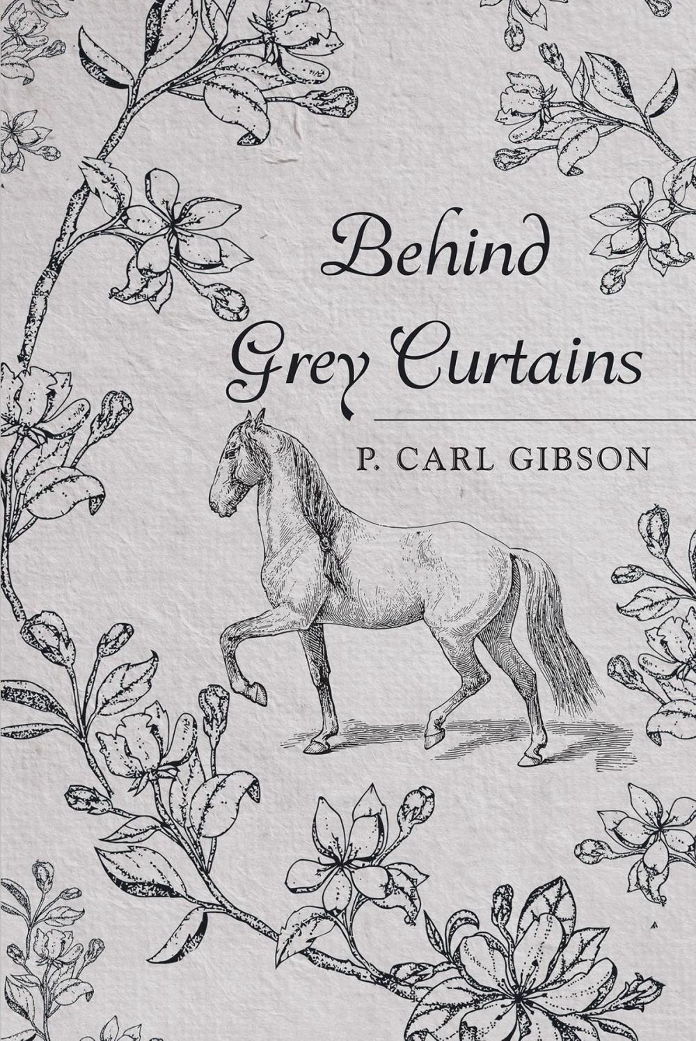 Big bigCover of Behind Grey Curtains