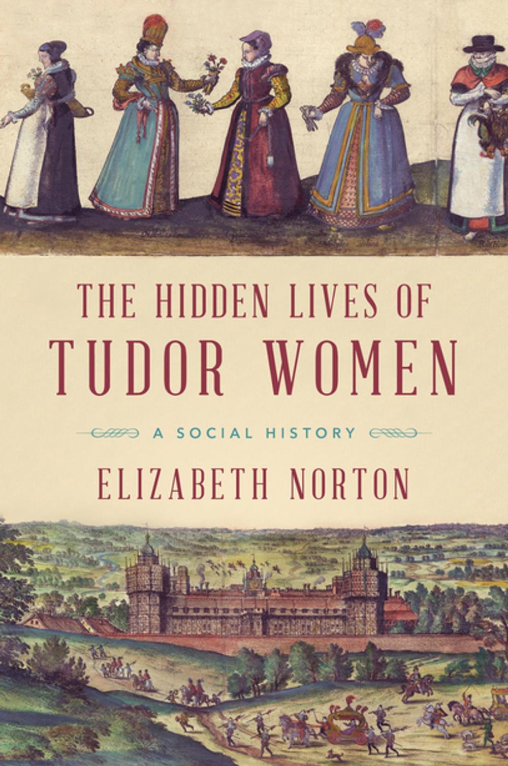 Big bigCover of The Hidden Lives of Tudor Women: A Social History