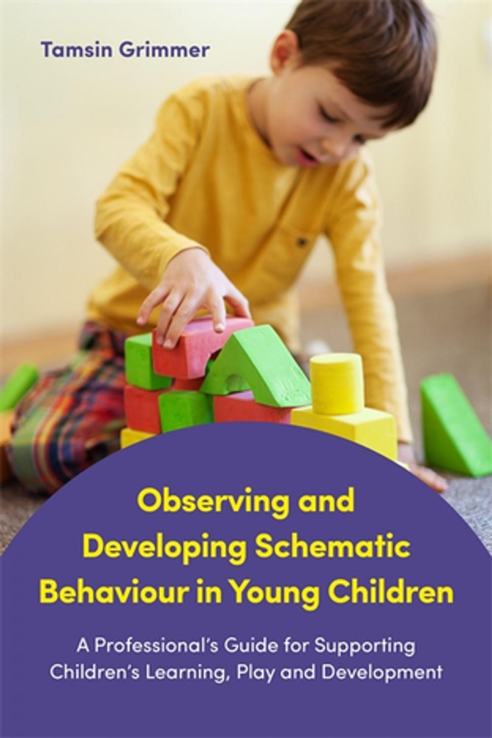 Big bigCover of Observing and Developing Schematic Behaviour in Young Children
