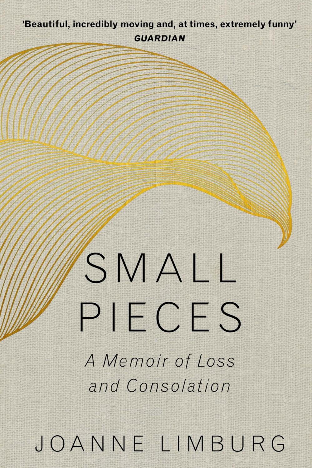 Big bigCover of Small Pieces