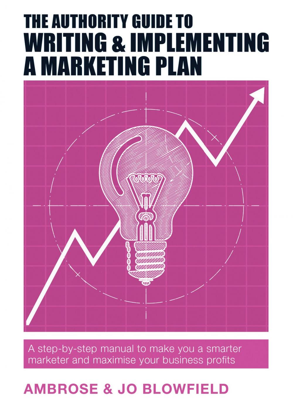 Big bigCover of The Authority Guide to Writing and Implementing a Marketing Plan