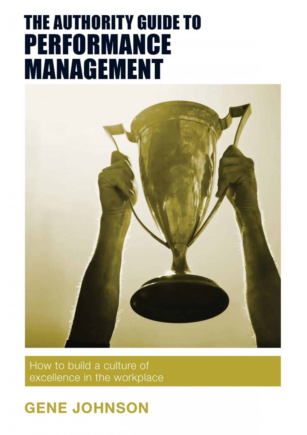 Big bigCover of The Authority Guide to Performance Management
